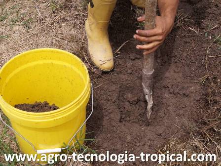 Se abre un hueco y la tierra se deposita en un tobo para medir la densidad aparente